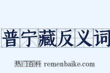 普宁藏反义词是什么意思的图片